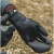 trzypalczaste-rekawice-neoprenowe-manera-xtend-lobster-glove-2-mm-czarne-photo.webp