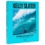 Album Kelly Slater – zdjęcia i historia legendy surfingu